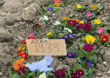 Jandarmanın iz takip köpeği “Salkım” kayıp şahıs için sahada