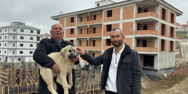 Jandarmanın iz takip köpeği “Salkım” kayıp şahıs için sahada