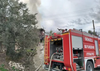 Jandarmanın iz takip köpeği “Salkım” kayıp şahıs için sahada
