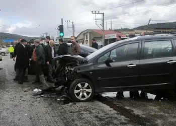 Jandarmanın iz takip köpeği “Salkım” kayıp şahıs için sahada