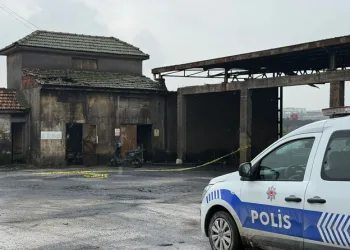 Jandarmanın iz takip köpeği “Salkım” kayıp şahıs için sahada