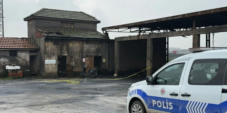 Jandarmanın iz takip köpeği “Salkım” kayıp şahıs için sahada