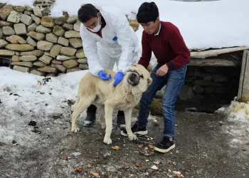 Avukatın “helalleşirler” savunması mahkemeyi ikna etmedi: Sanığa 5 yıl hapis cezası verildi