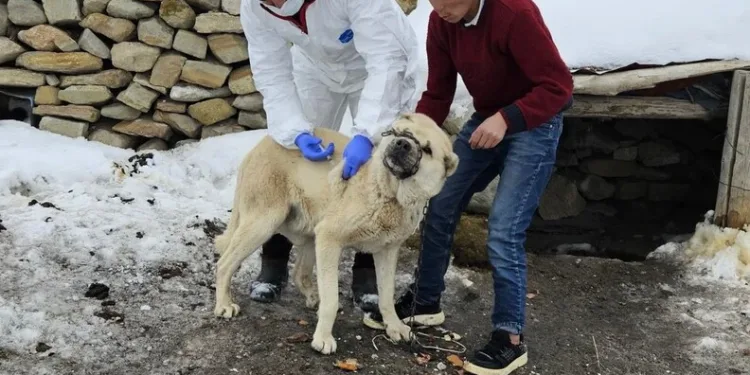 Avukatın “helalleşirler” savunması mahkemeyi ikna etmedi: Sanığa 5 yıl hapis cezası verildi