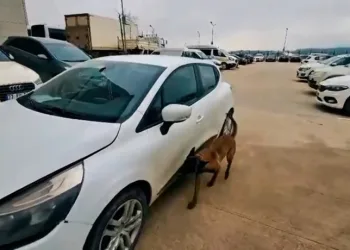 Avukatın “helalleşirler” savunması mahkemeyi ikna etmedi: Sanığa 5 yıl hapis cezası verildi