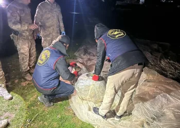 Avukatın “helalleşirler” savunması mahkemeyi ikna etmedi: Sanığa 5 yıl hapis cezası verildi