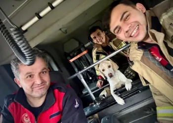 Erzincan’da Ocak ayında 190 aranan şahıs yakalandı, 53 kişi tutuklandı