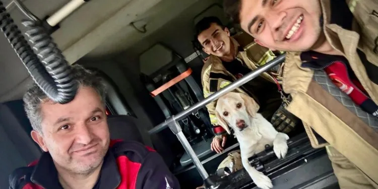 Erzincan’da Ocak ayında 190 aranan şahıs yakalandı, 53 kişi tutuklandı