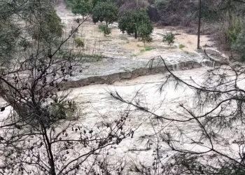 Düzce’de Ramazan öncesi denetimler sıklaştırıldı