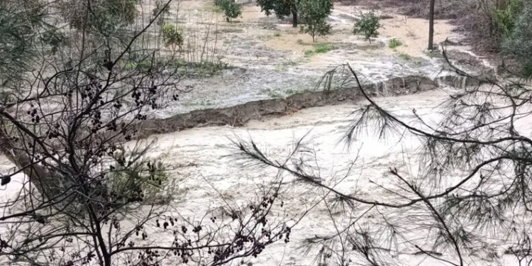 Düzce’de Ramazan öncesi denetimler sıklaştırıldı