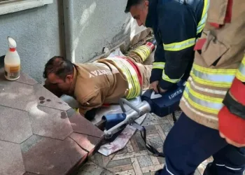 Hatay’da havalandırma boşluğuna düşen köpek kurtarıldı