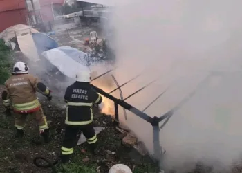 Hatay’da havalandırma boşluğuna düşen köpek kurtarıldı