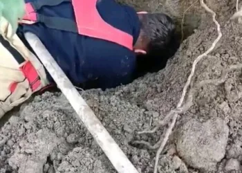 Hatay’da havalandırma boşluğuna düşen köpek kurtarıldı