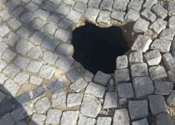 Hatay’da havalandırma boşluğuna düşen köpek kurtarıldı