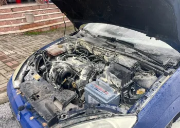 Hatay’da havalandırma boşluğuna düşen köpek kurtarıldı