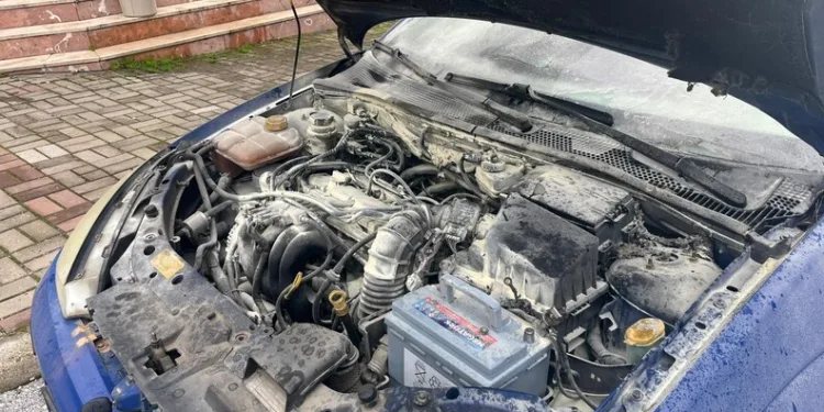 Hatay’da havalandırma boşluğuna düşen köpek kurtarıldı