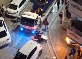 Hatay’da havalandırma boşluğuna düşen köpek kurtarıldı