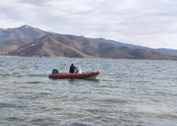 Hatay’da havalandırma boşluğuna düşen köpek kurtarıldı