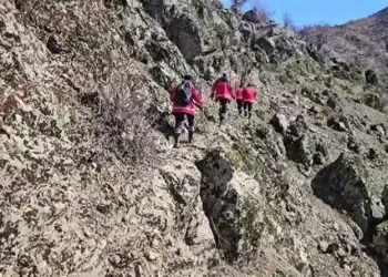 Hatay’da havalandırma boşluğuna düşen köpek kurtarıldı