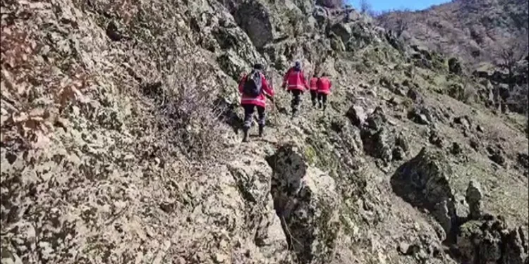 Hatay’da havalandırma boşluğuna düşen köpek kurtarıldı