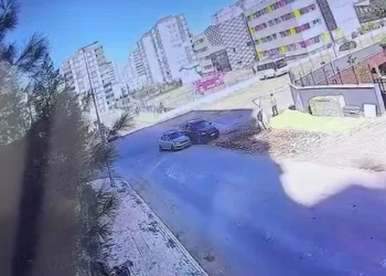 Hatay’da havalandırma boşluğuna düşen köpek kurtarıldı