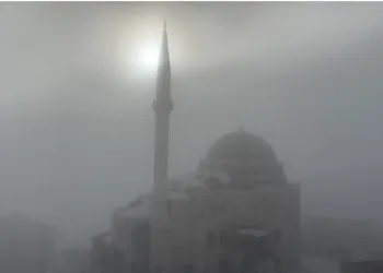 Hatay’da havalandırma boşluğuna düşen köpek kurtarıldı