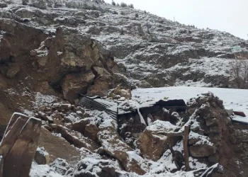 Hatay’da havalandırma boşluğuna düşen köpek kurtarıldı