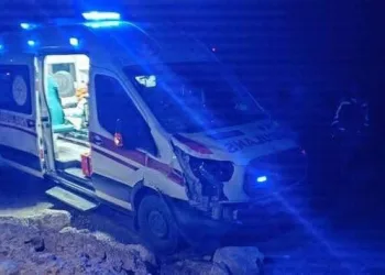 Hatay’da havalandırma boşluğuna düşen köpek kurtarıldı