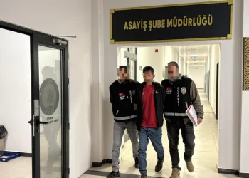 Hatay’da havalandırma boşluğuna düşen köpek kurtarıldı