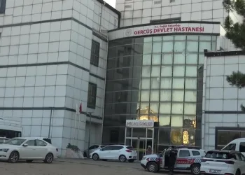 Hatay’da havalandırma boşluğuna düşen köpek kurtarıldı