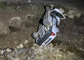 Hatay’da havalandırma boşluğuna düşen köpek kurtarıldı