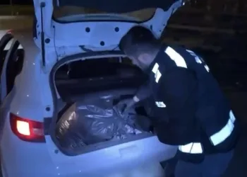 Hatay’da havalandırma boşluğuna düşen köpek kurtarıldı