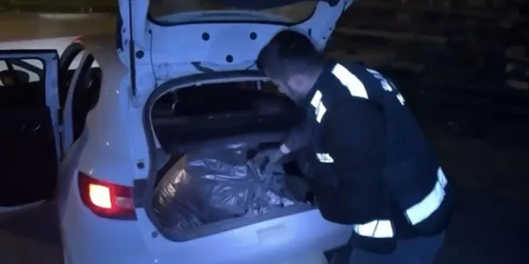 Hatay’da havalandırma boşluğuna düşen köpek kurtarıldı