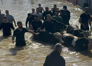 Çanakkale’de yanan araç bomba gibi patladı