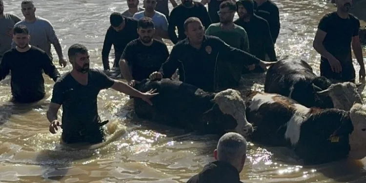 Çanakkale’de yanan araç bomba gibi patladı