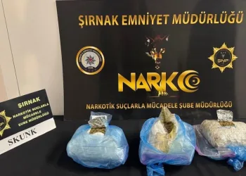 Çanakkale’de yanan araç bomba gibi patladı