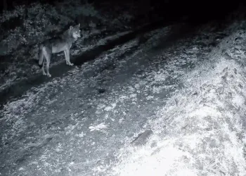 Ümraniye’deki vahşette acılı anne baba: “Lütfen kızımızın bir mezarı olsun”