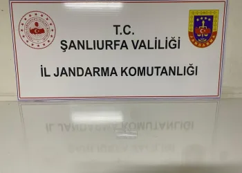 Ümraniye’deki vahşette acılı anne baba: “Lütfen kızımızın bir mezarı olsun”