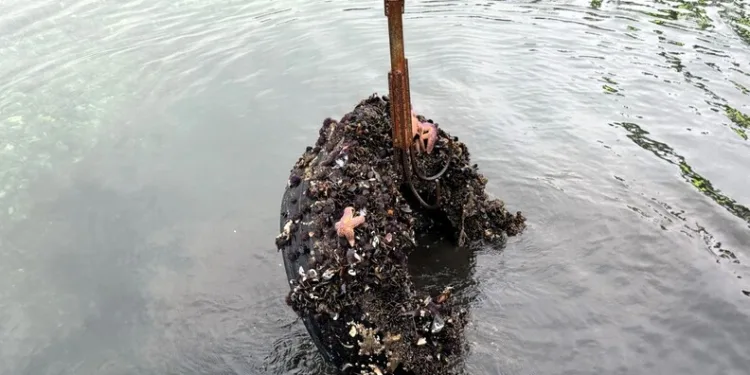 Ramazan kolisi aldım derken dolandırıcıların kredi ağına takılmayın