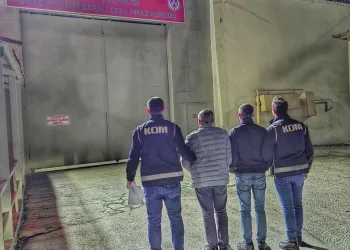 İstanbul Havalimanı’nda 20 adet Afrika gri papağanı ele geçirildi