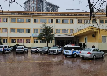 İstanbul Havalimanı’nda 20 adet Afrika gri papağanı ele geçirildi