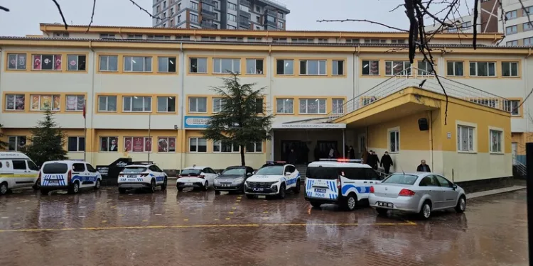 İstanbul Havalimanı’nda 20 adet Afrika gri papağanı ele geçirildi