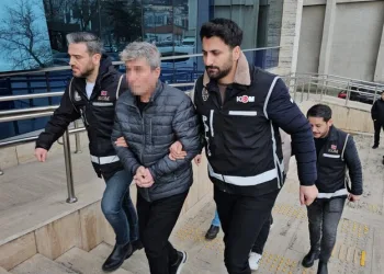 İstanbul Havalimanı’nda 20 adet Afrika gri papağanı ele geçirildi