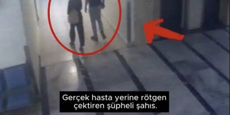 İstanbul Havalimanı’nda 20 adet Afrika gri papağanı ele geçirildi