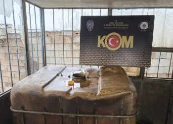 İstanbul Havalimanı’nda 20 adet Afrika gri papağanı ele geçirildi