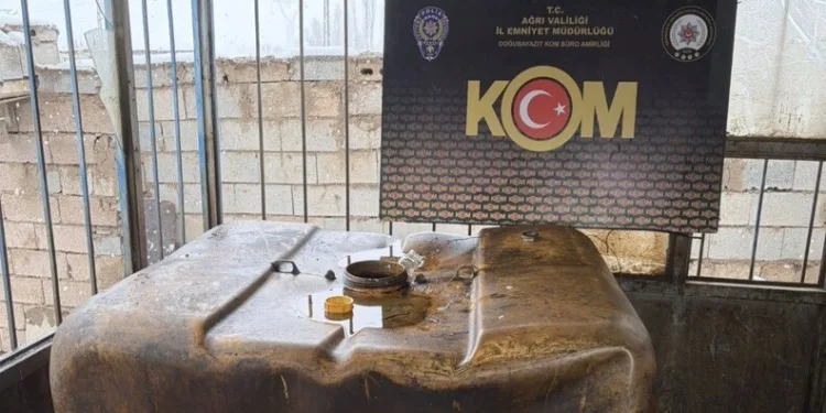 İstanbul Havalimanı’nda 20 adet Afrika gri papağanı ele geçirildi