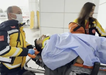 İstanbul Havalimanı’nda 20 adet Afrika gri papağanı ele geçirildi