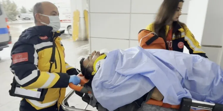 İstanbul Havalimanı’nda 20 adet Afrika gri papağanı ele geçirildi