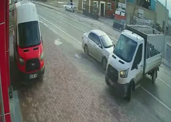 İstanbul Havalimanı’nda 20 adet Afrika gri papağanı ele geçirildi