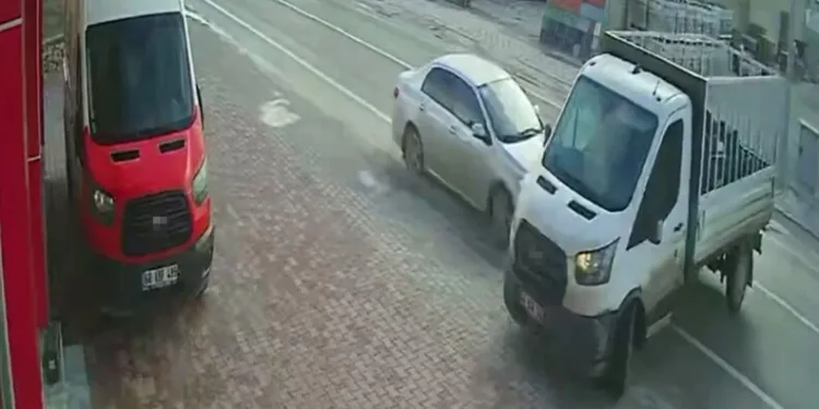 İstanbul Havalimanı’nda 20 adet Afrika gri papağanı ele geçirildi